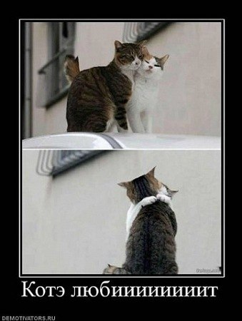 №62, Анна Швед, Санкт-Петербург №62, Анна Швед, Санкт-Петербург