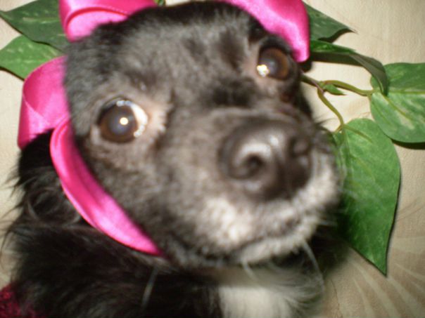 №21, Татьяна Свистельникова, 39 лет, Кривой Рог №21, Татьяна Свистельникова, 39 лет, Кривой Рог