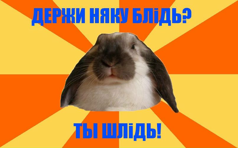 Андрей Ползунов | 