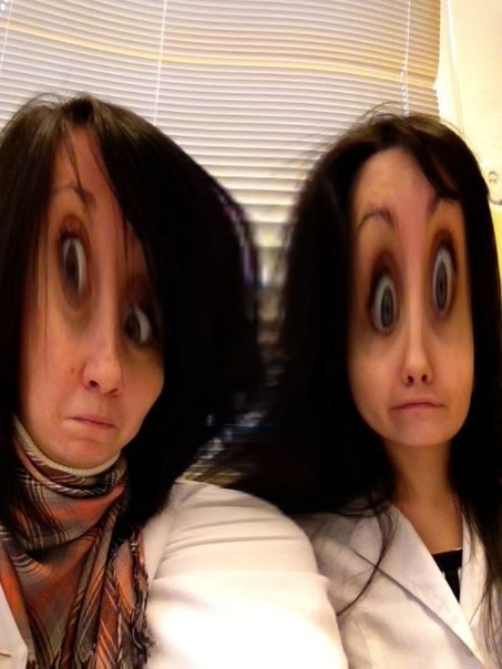 Губкобантиковый Бровкодомик | Санкт-Петербург