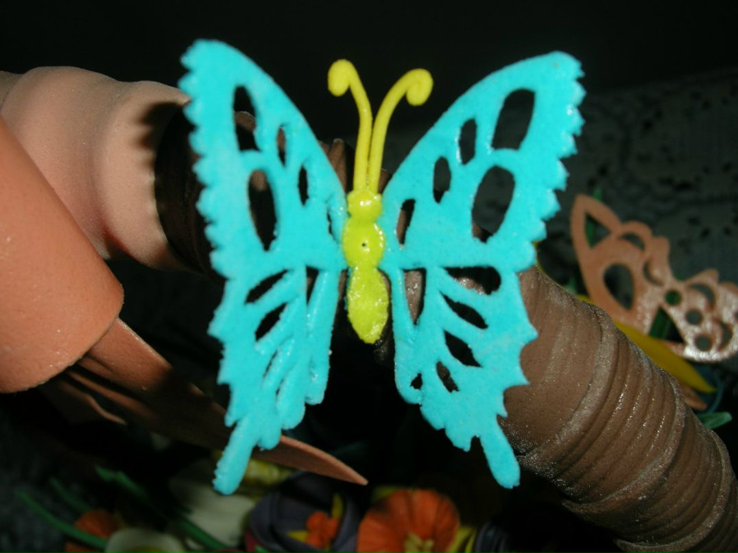 Елена Рак | Бровары