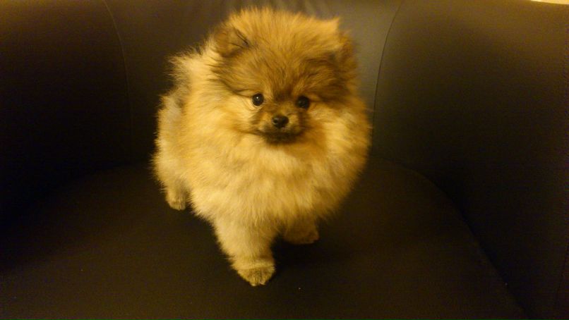 Артур Алимбеков | Знаменск