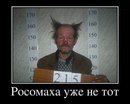 Ольга Прищепова, 38 лет, Электросталь, Россия, 04.03.1987