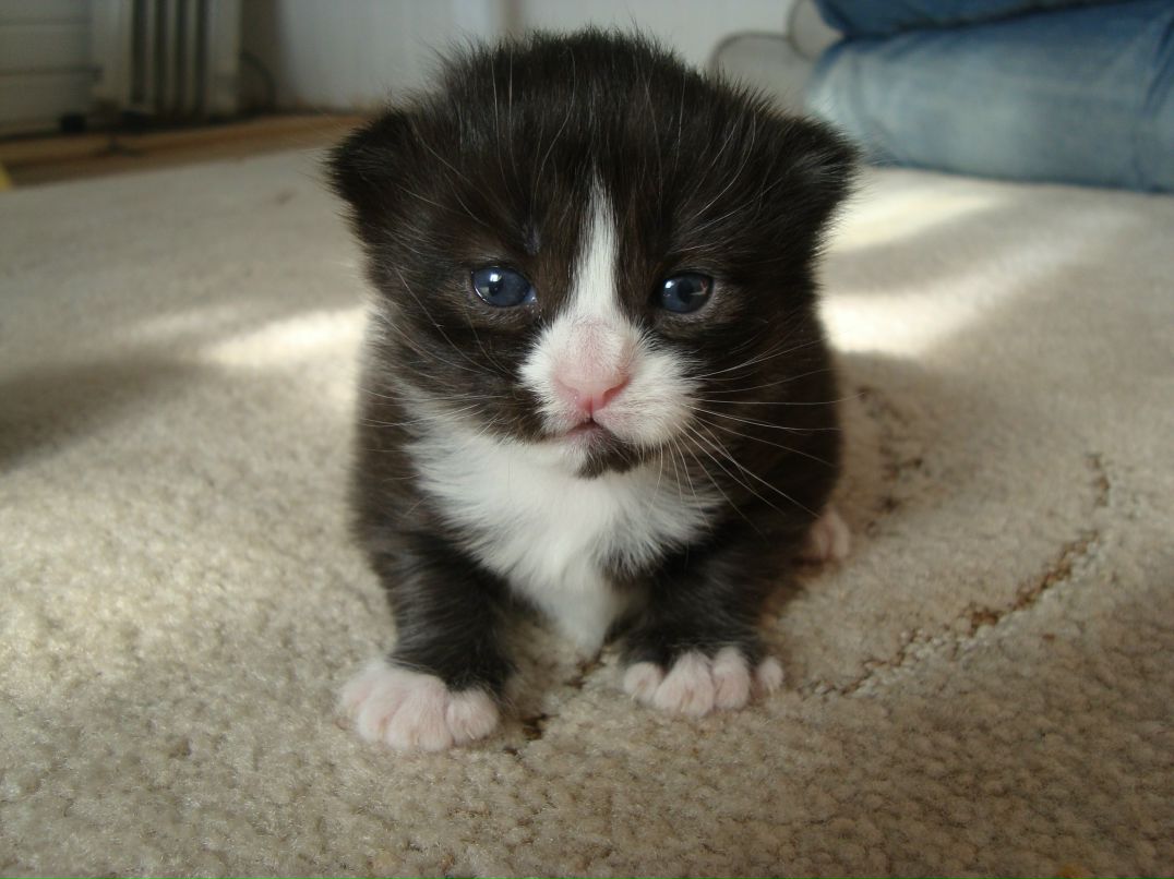 Наташулька Романова | Подольск