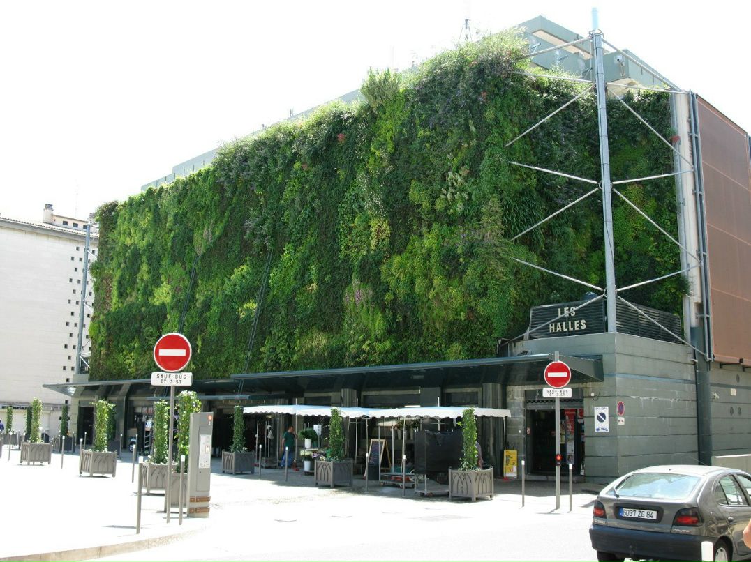 Ирина Корнеева | Москва