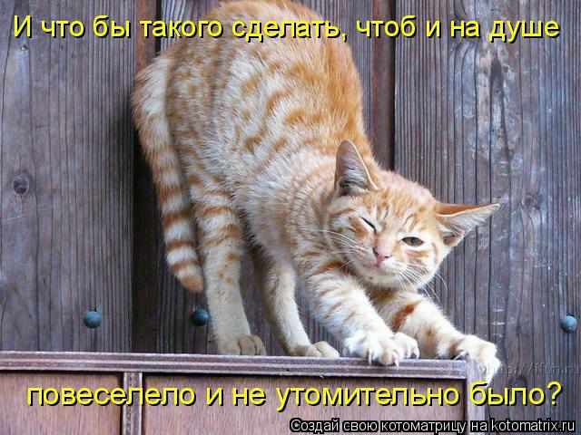 №43, Любовь Тихонова, 36 лет, Краснодар №43, Любовь Тихонова, 36 лет, Краснодар