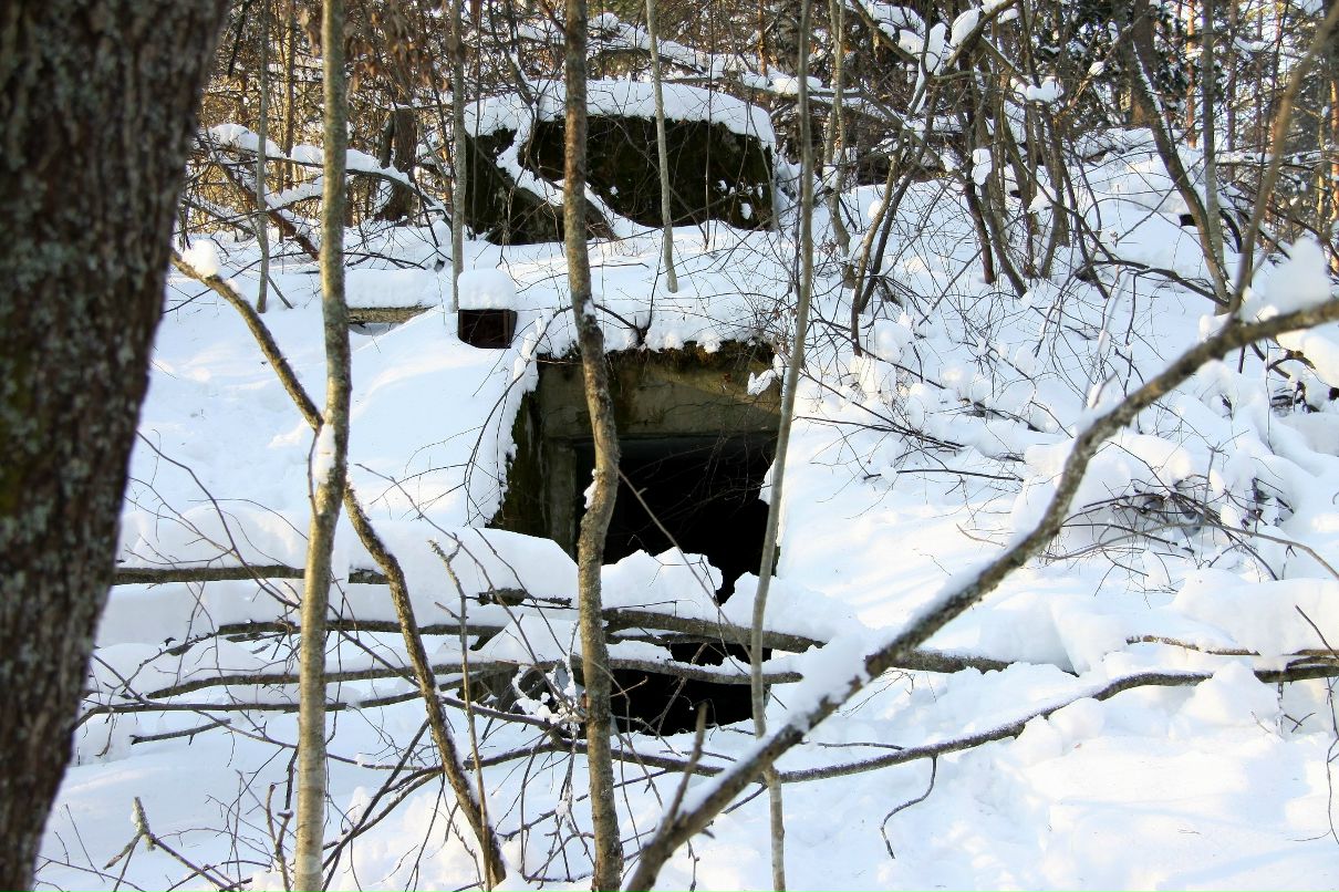 Дмитрий Паппель | Chennai