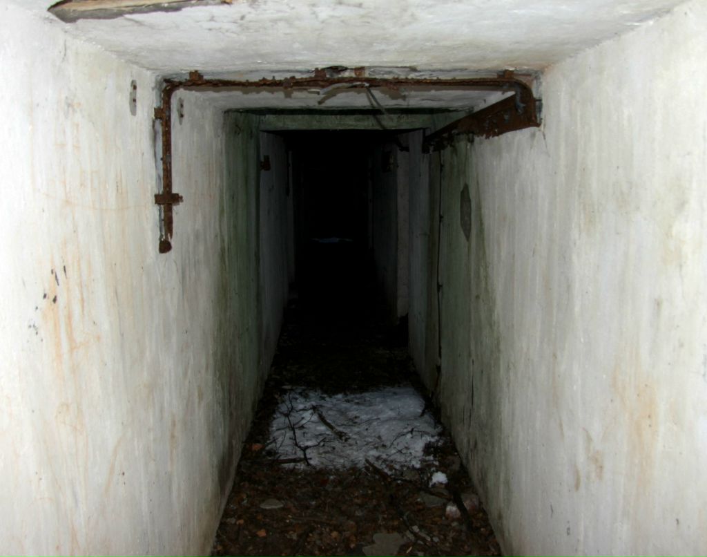 Дмитрий Паппель | Chennai