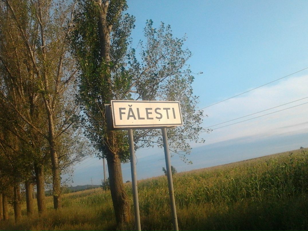 Анастасия Матюхина | Орёл