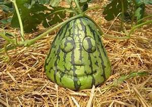 №182, Ирина Моисеева, 38 лет, Таганрог №182, Ирина Моисеева, 38 лет, Таганрог