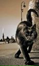 №2 Ольга Свириденко 11.08: профиль, фото, статус - ВКонтакте №2 Ольга Свириденко 11.08: профиль, фото, статус - ВКонтакте