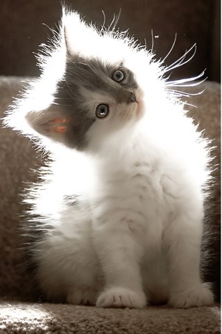 Екатерина Бондаренко ღeasier for one to be ...ღ | Харьков