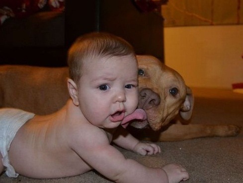 №1, Евгений Кошеленко №1, Евгений Кошеленко