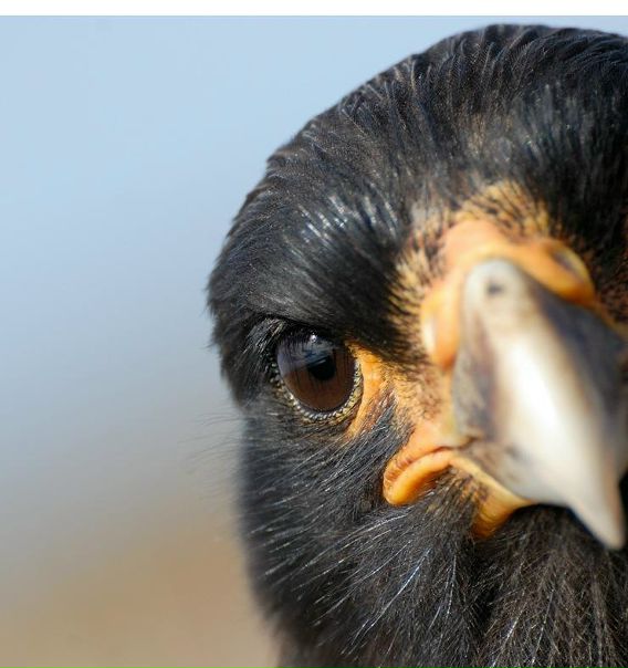 №10, Дмитрий Абрамов, 36 лет, Алатырь №10, Дмитрий Абрамов, 36 лет, Алатырь