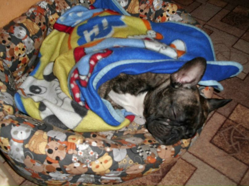 Елена Юрчук | Мурманск