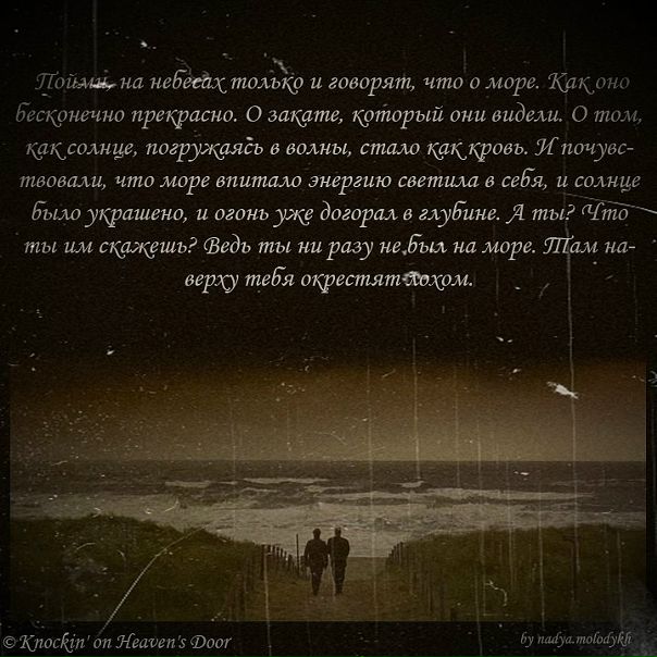 №47, Александр Емельяненко, Ростов-на-Дону №47, Александр Емельяненко, Ростов-на-Дону