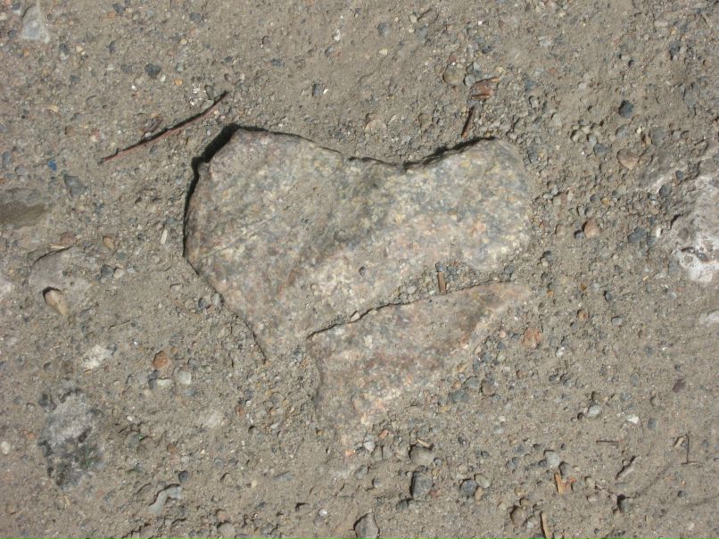 Виктория Бровко | Запорожье