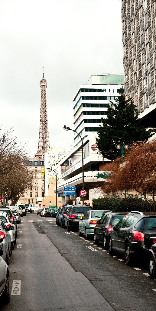 Elena Belyakova | Санкт-Петербург