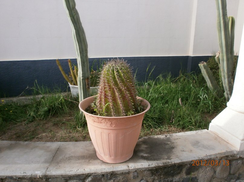 Татьяна Кириличева | Санкт-Петербург