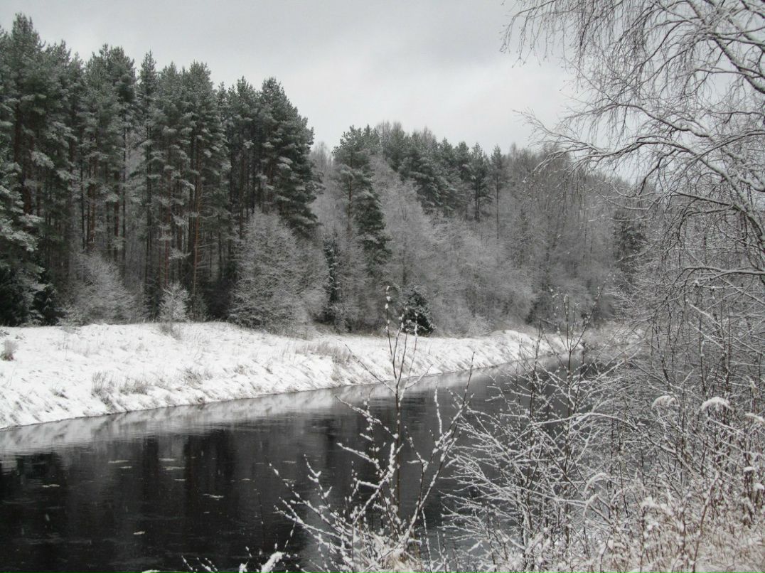 Алексей Соколов | Санкт-Петербург