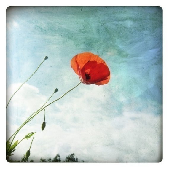 Аня Ворожейкина | London