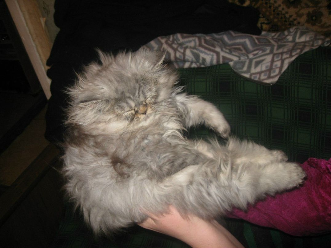 Александр Секисов | Санкт-Петербург