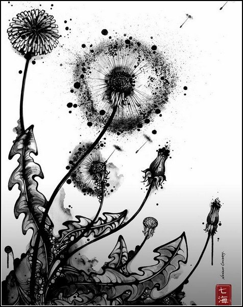 Константин Грабко | Минск