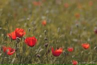 №7 Владимир Есиков 12.02: профиль, фото, статус - ВКонтакте
