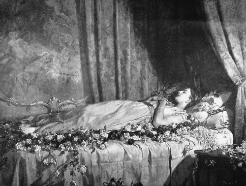 Анна Фомина | 