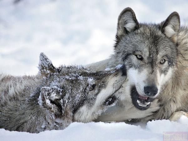 Ксюша Ахмадыльшина | Пермь