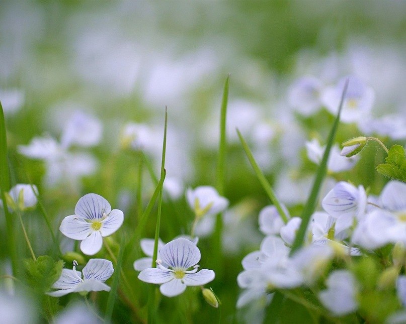 Динара Биктимирова | Стерлитамак