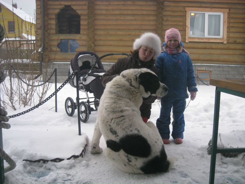 Карина Николаенко | Санкт-Петербург