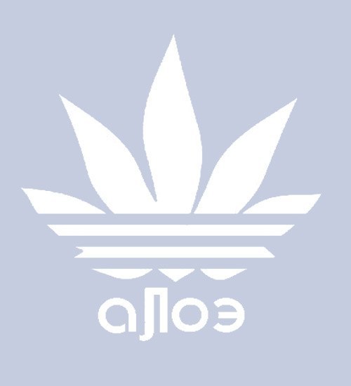 Алексей Шолудько | Александров (хутор)