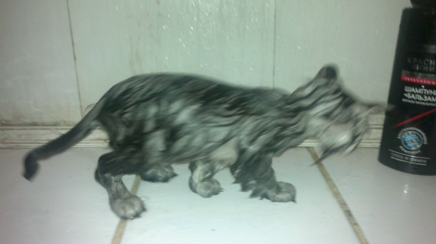 Александр Сидоров | 