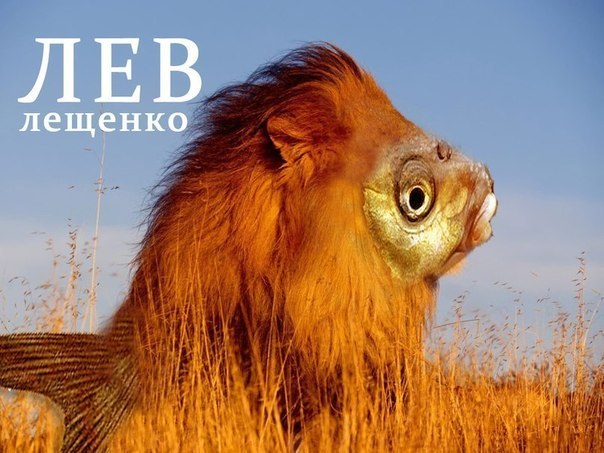 Stepan Alexandrovich Сиплый (Юго-Запад) | Москва