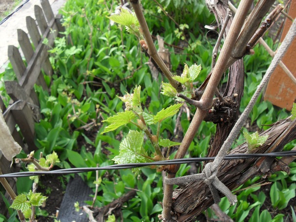 №167, Ильдар Нигматуллин, 54 года, Казань №167, Ильдар Нигматуллин, 54 года, Казань