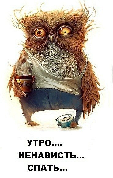 Паша Козловский | 