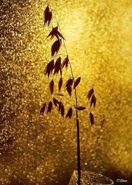 №145, Ольга Щербакова, 41 год, Санкт-Петербург №145, Ольга Щербакова, 41 год, Санкт-Петербург