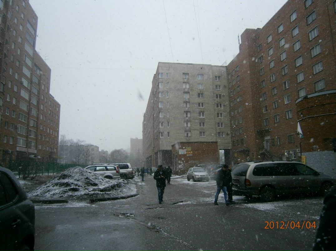 Маргарита Фомичёва Лисса | Санкт-Петербург