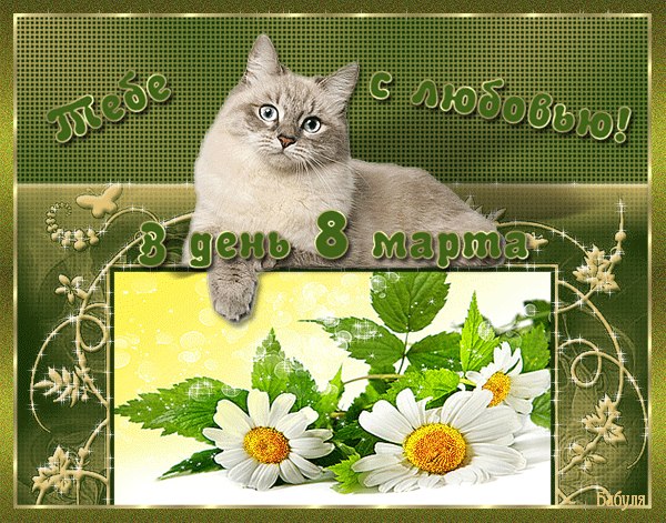 Лидия Сорокивская | Одесса