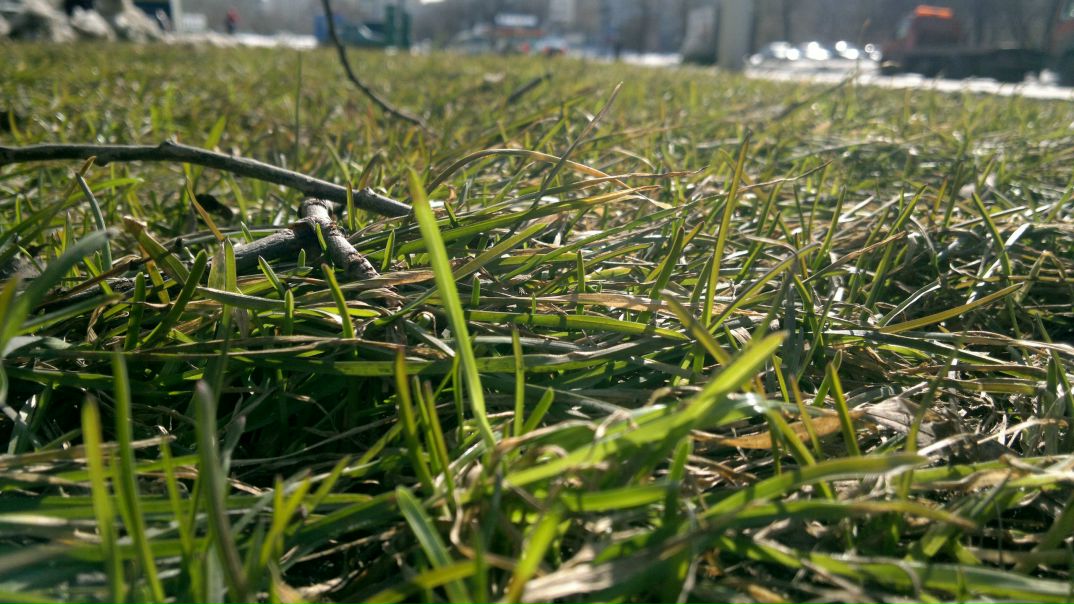 №102, Наталья Меркурьева №102, Наталья Меркурьева