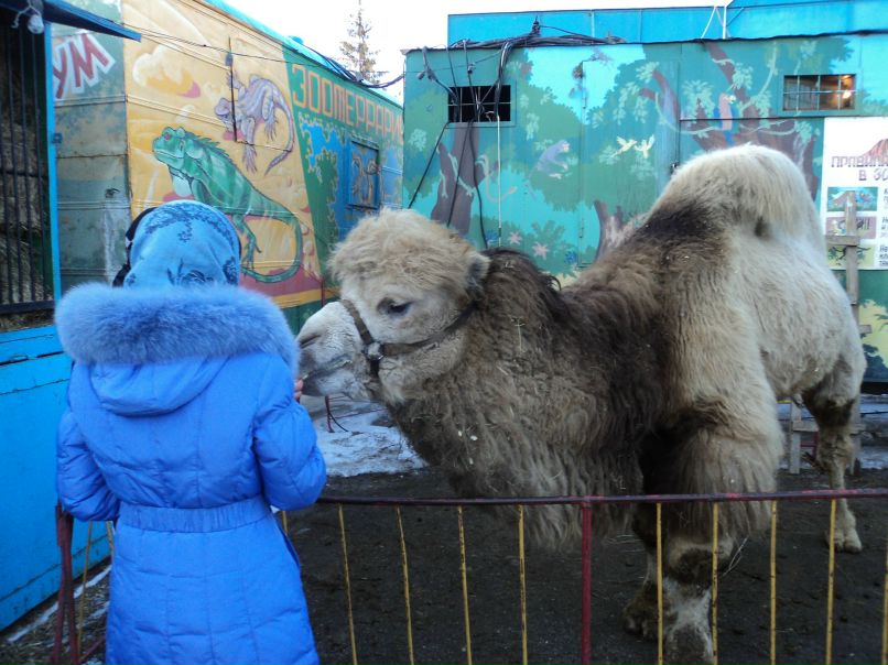 Анастасия Романова | Тереньга