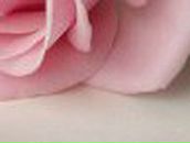 Анастасия Мясоедова | Санкт-Петербург