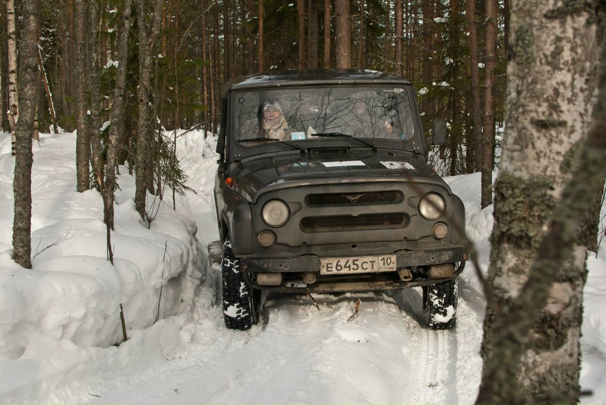 Ирина Борисова | Петрозаводск