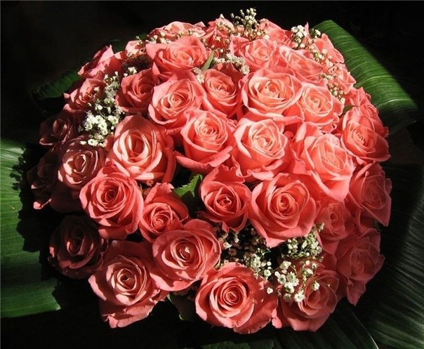 Луиза Оздоева | Москва