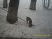 Ник Каморин фотография #7