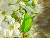 Любовь Коленко ***ShOP*** | Днепр (Днепропетровск)