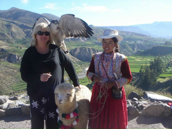 №31, Алла Батрак, Киев №31, Алла Батрак, Киев