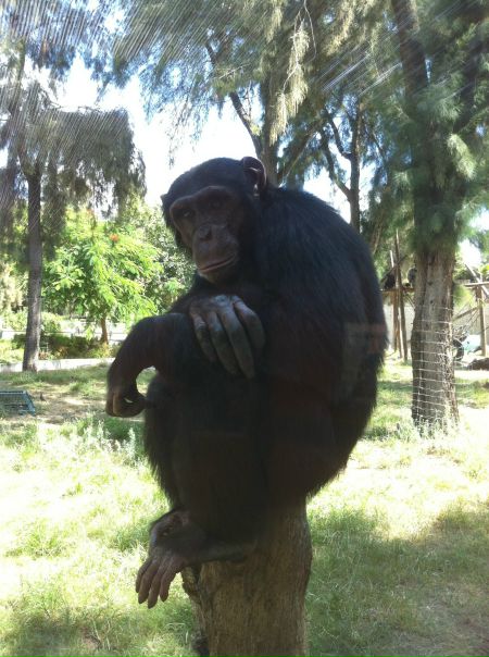 №18, Екатерина Конопленко, 35 лет, Конотоп №18, Екатерина Конопленко, 35 лет, Конотоп