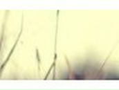 Анастасия Норбери | Eastleigh